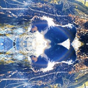 Meet your Posher, Kaylee